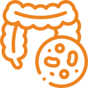 Icono que representa el intestino humano y microorganismos, simbolizando la salud digestiva y la microbiota intestinal.